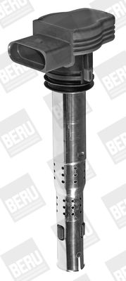 запалителна бобина BorgWarner (BERU) ZSE032